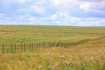 永信贵宾会·217(中国区)官方网站