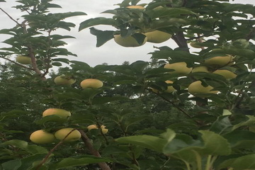 永信贵宾会·217(中国区)官方网站