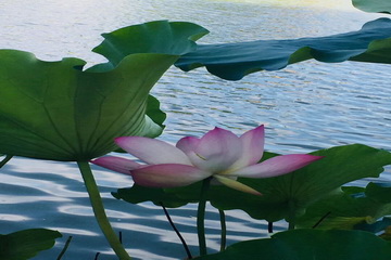 永信贵宾会·217(中国区)官方网站