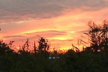 永信贵宾会·217(中国区)官方网站