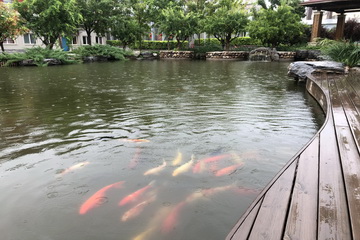 永信贵宾会·217(中国区)官方网站