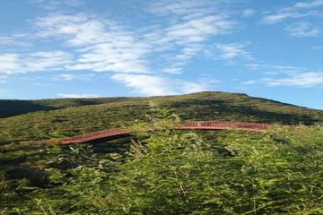 永信贵宾会·217(中国区)官方网站