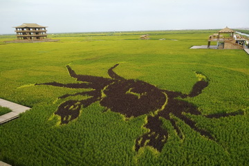 永信贵宾会·217(中国区)官方网站