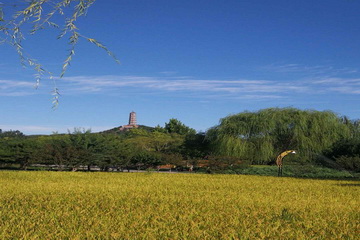 永信贵宾会·217(中国区)官方网站