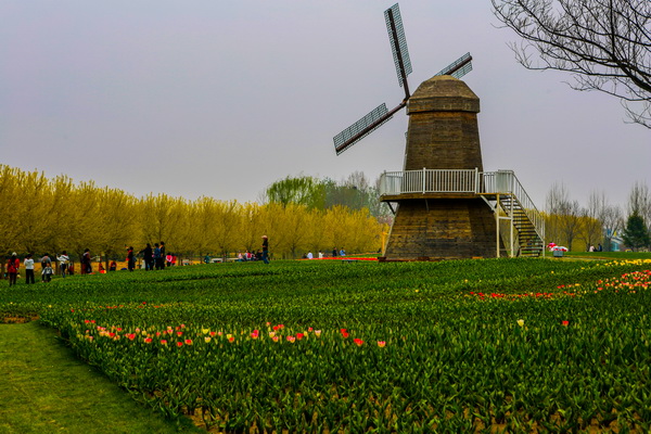 永信贵宾会·217(中国区)官方网站