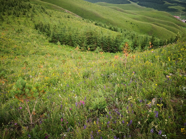 永信贵宾会·217(中国区)官方网站