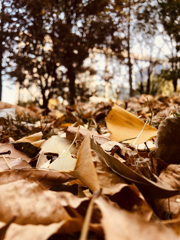 永信贵宾会·217(中国区)官方网站