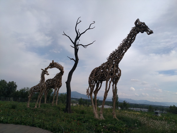 永信贵宾会·217(中国区)官方网站