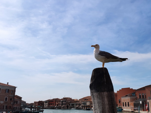 永信贵宾会·217(中国区)官方网站