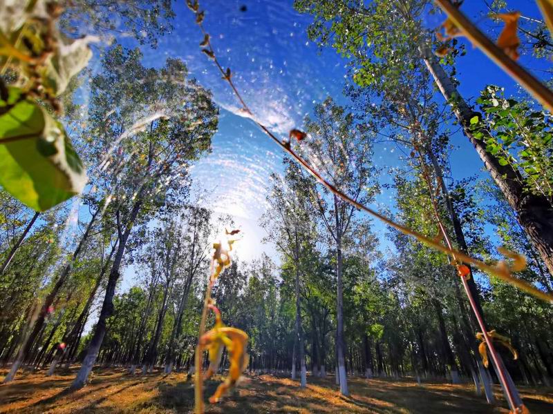 永信贵宾会·217(中国区)官方网站