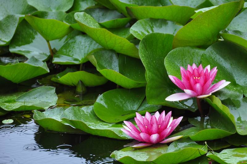 永信贵宾会·217(中国区)官方网站