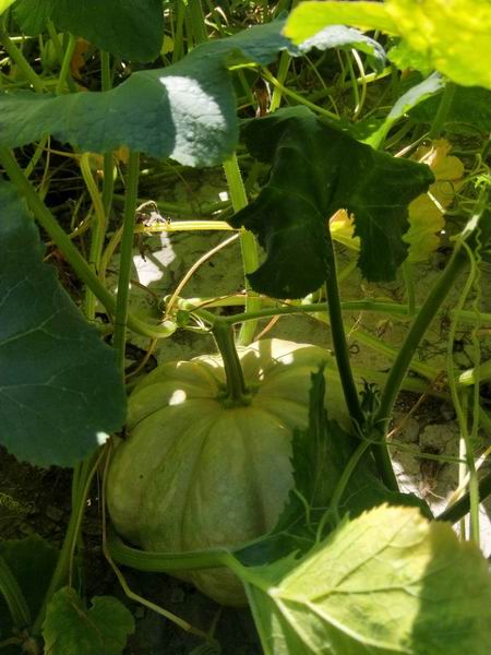 永信贵宾会·217(中国区)官方网站