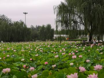 永信贵宾会·217(中国区)官方网站