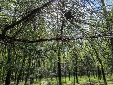 永信贵宾会·217(中国区)官方网站