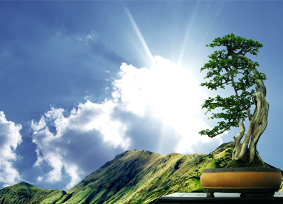 永信贵宾会·217(中国区)官方网站