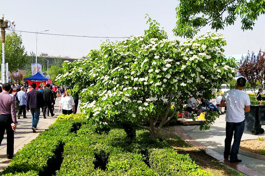 永信贵宾会·217(中国区)官方网站