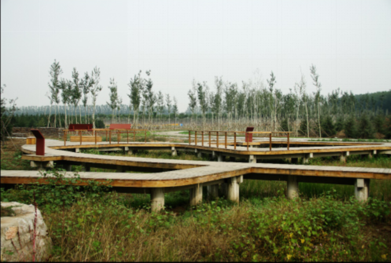 永信贵宾会·217(中国区)官方网站