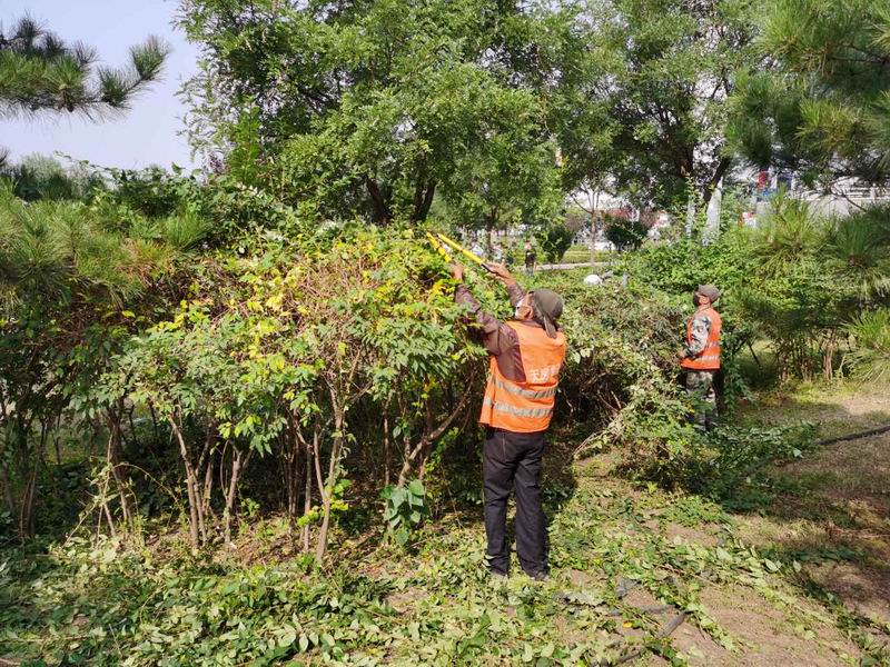 永信贵宾会·217(中国区)官方网站