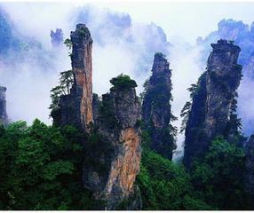 永信贵宾会·217(中国区)官方网站