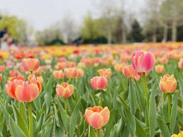 永信贵宾会·217(中国区)官方网站