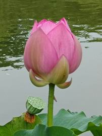 永信贵宾会·217(中国区)官方网站