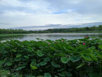 永信贵宾会·217(中国区)官方网站