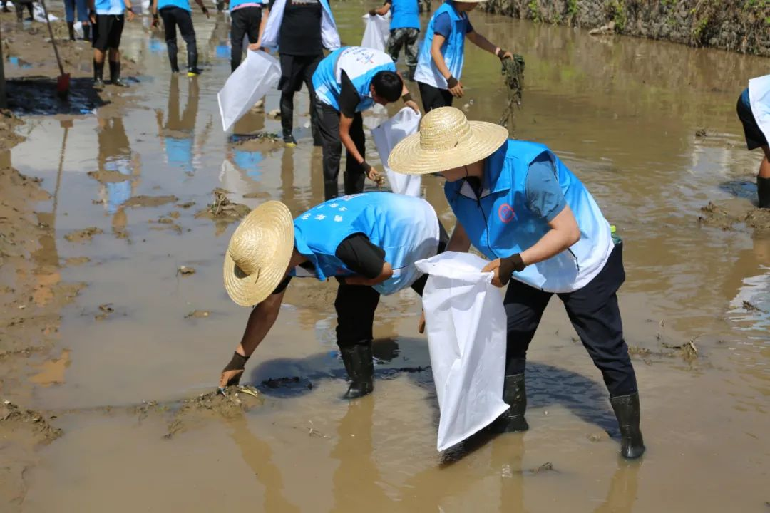 永信贵宾会·217(中国区)官方网站